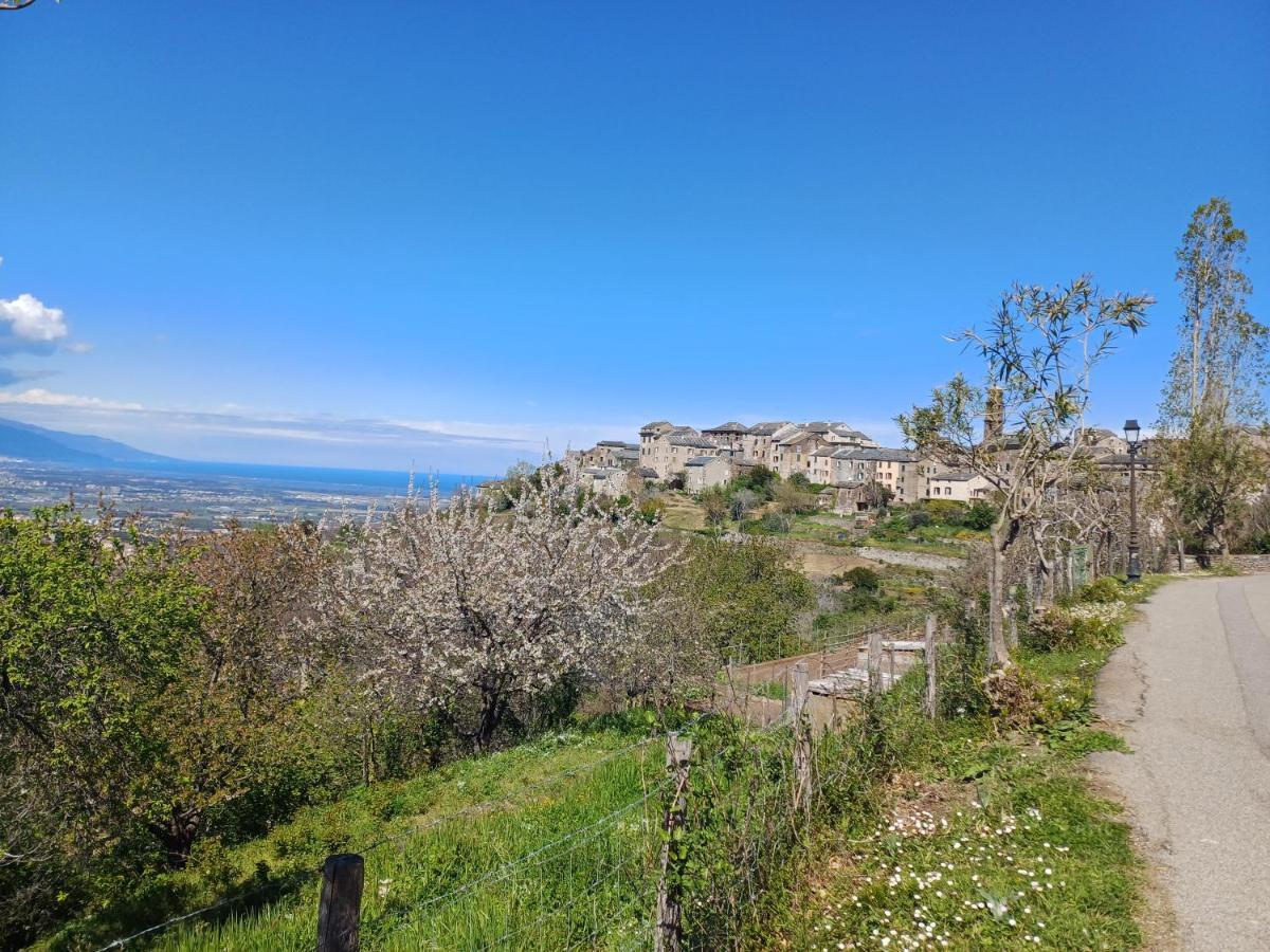 Casa Pernice Penta di Casinca Kültér fotó