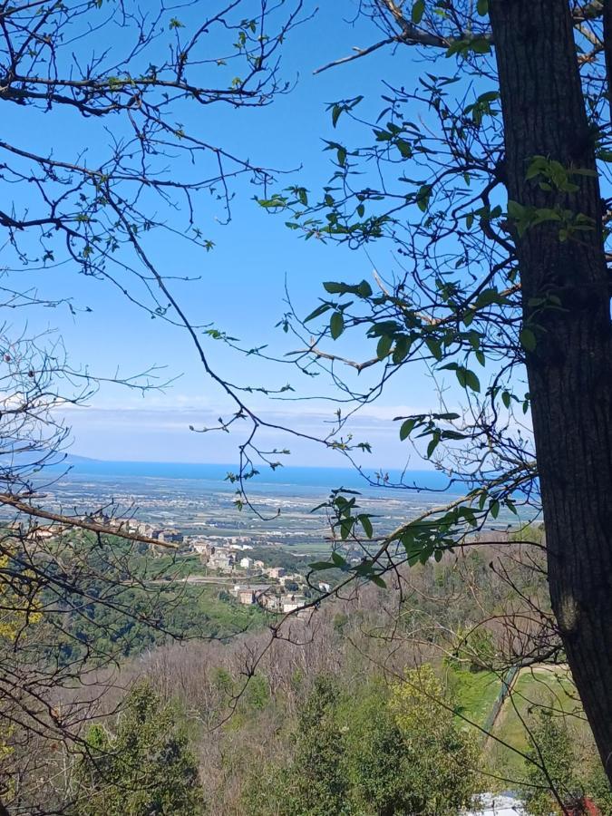 Casa Pernice Penta di Casinca Kültér fotó